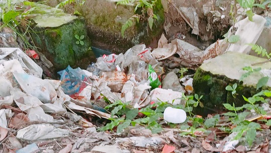 image-here